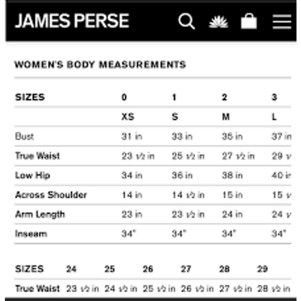 JAMES PERSE Long Sleeve Ruched Jersey Knit Midi Dress Size Medium M 2 MINIMALIST - Picture 7 of 7